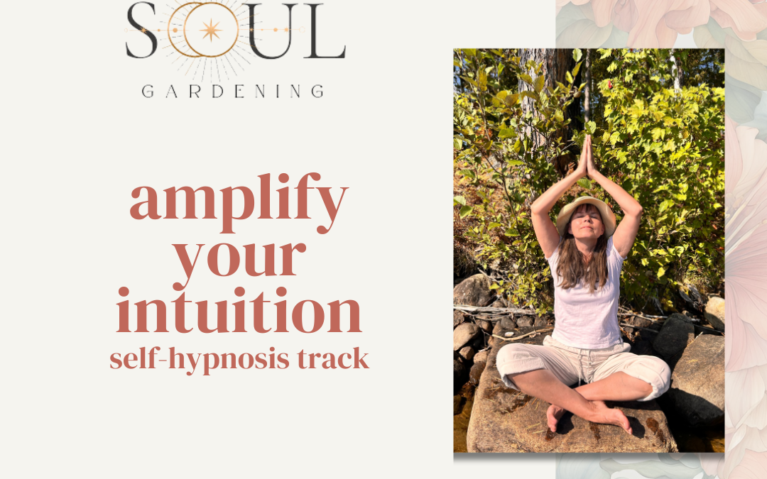 amplify your intuition