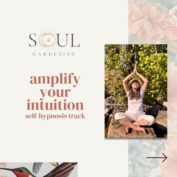 amplify your intuition